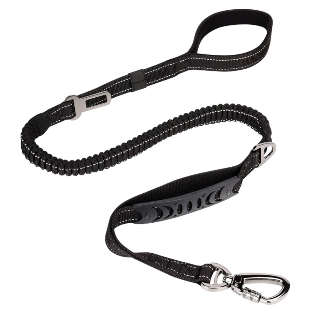 Dog Leash